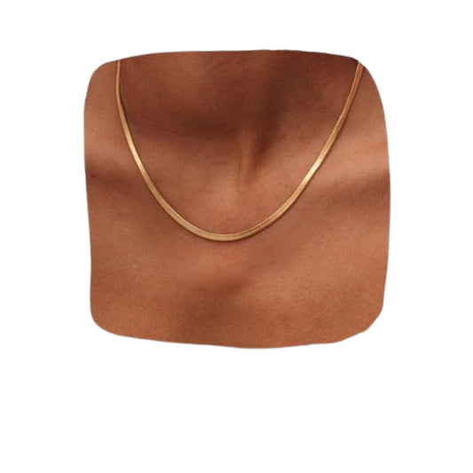 Hey Harper Nassau Necklace - Waterproof & Sweatproof Simple Womens Necklaces for Everyday Wear - Silver, Rose Gold, Gold Necklaces for Women - Stainless Steel Necklace - Herringbone Chain with 14k Golden Color PVD Coating - Necklaces for Women Trendy